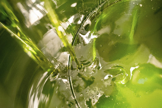 Was macht Olivenöl so gesund?