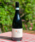 Weinbox Mix - 3 x 750 ml DOC Weißwein und 3 x DOC Bio-Rotwein aus den Abruzzen