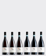 Weinbox Mix - 3 x 750 ml DOC Weißwein und 3 x DOC Bio-Rotwein aus den Abruzzen